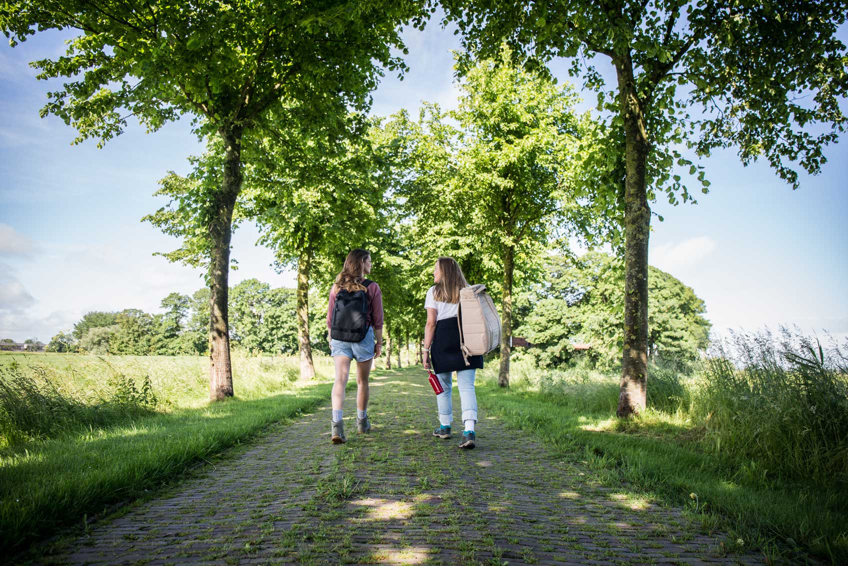 Wandelen Friesland