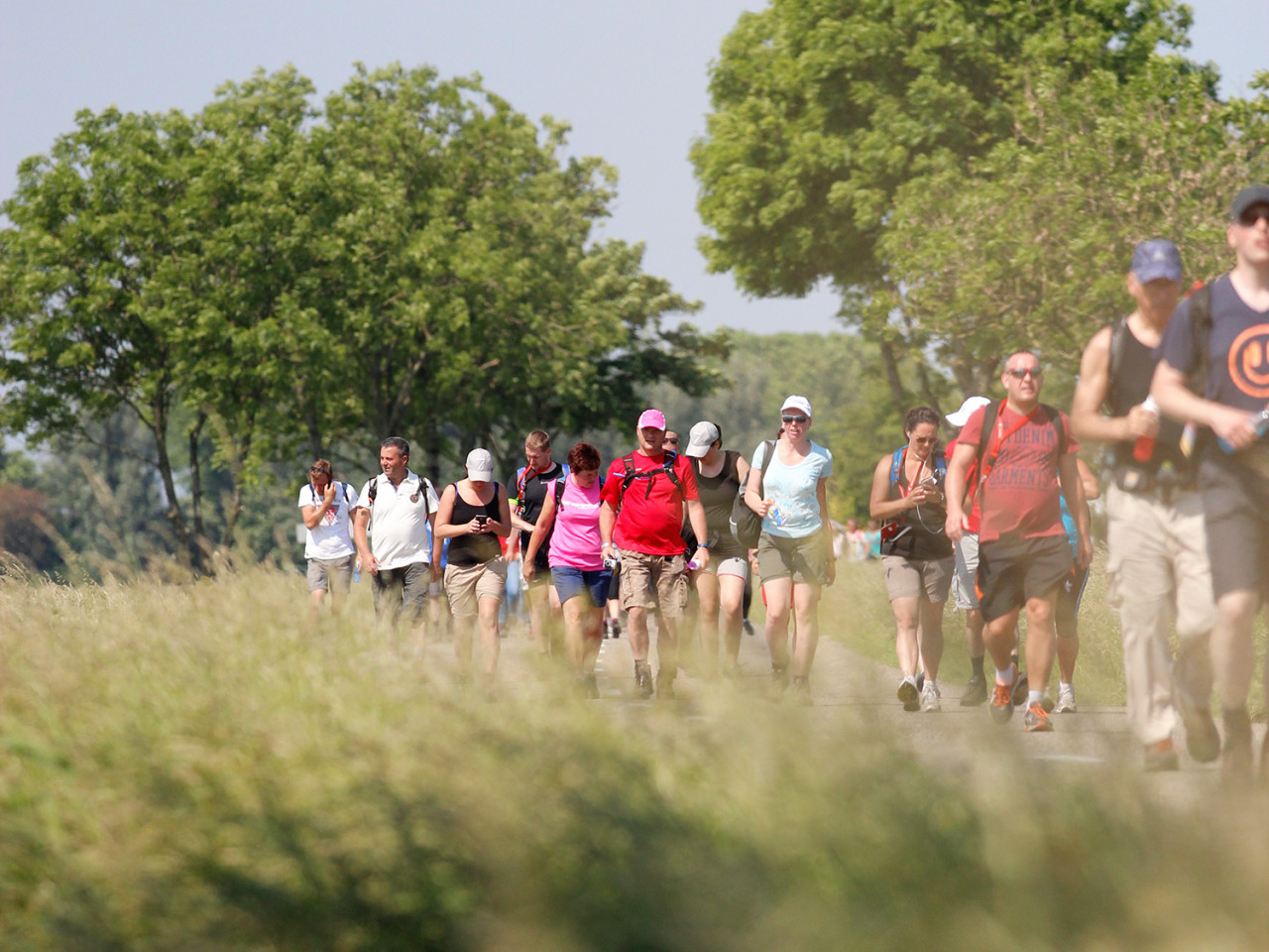 Wandelen in Friesland